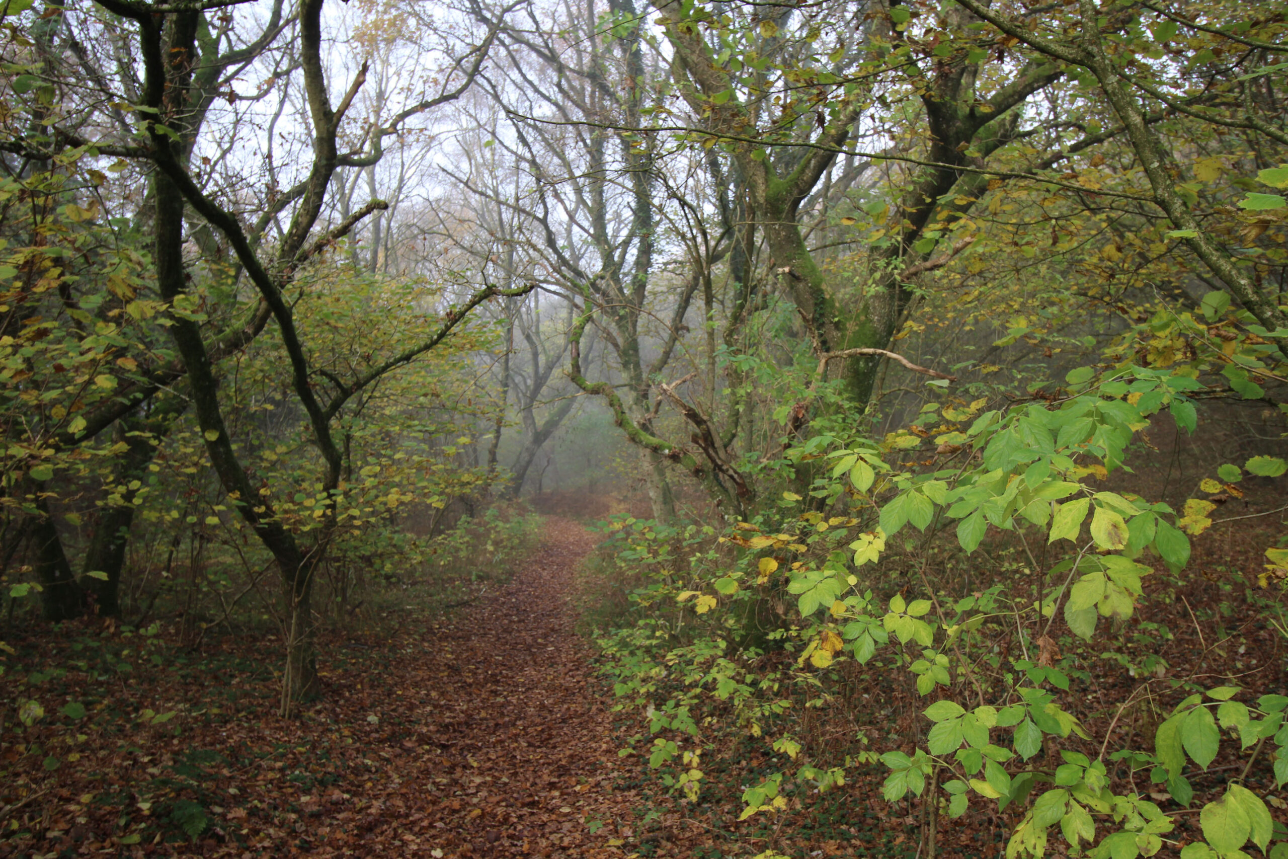 Man fornemmer straks stemningen.