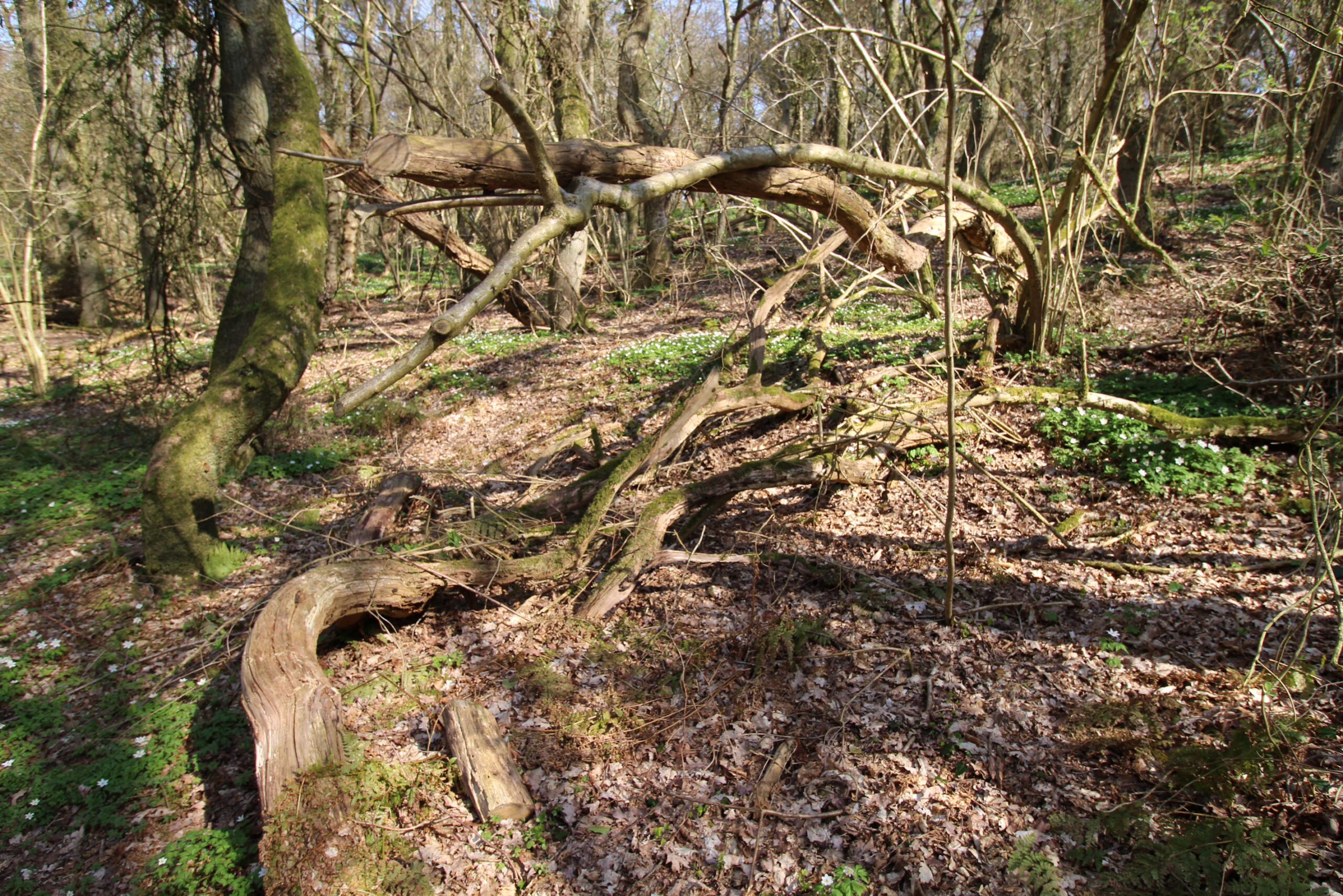 Man finder nemt stedet, hvis man på hovedgaden i Hvalpsund drejer ud mod Hessel Landbrugsmuseum.