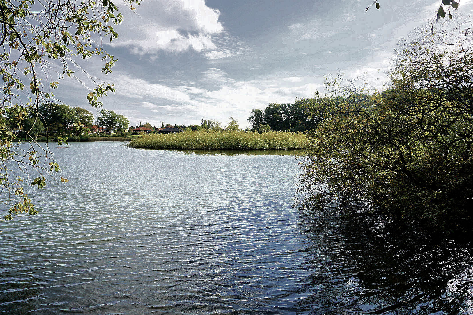 Øen blev anlagt i 1927 for at skabe en yngleplads med fred og ro til fire svaner, der var indkøbt til søen. Der blev købt flere svaner gennem årene, da flere af de udsatte svaner døde af forskellige årsager.